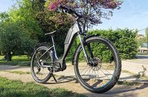Semi-Private Off-Road eBike Tour in The Buda Hills