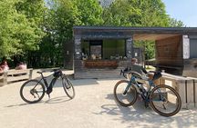Semi-Private Off-Road eBike Tour in The Buda Hills