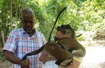 Private Full Day Culture and Nature Tour of Cape Coast
