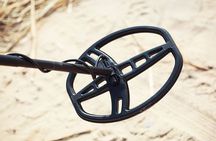 Private Metal Detecting Tour to Simmons Island Beach of Kenosha