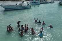 Party Boat with Snorkeling in Punta Cana
