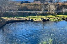Tokyo: Mt.Fuji Area, Oshino Hakkai & Kawaguchi Lake Day Trip