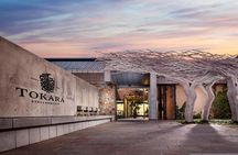Private Full Day Wine Tasting of Western Cape