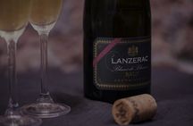 Private Full Day Wine Tasting of Western Cape