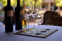 Private Full Day Wine Tasting of Western Cape