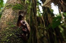 3-Day Jungle Adventure from / to Tena - Napo Amazon Region