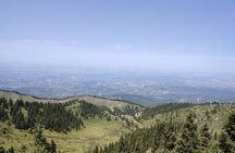 Mountain pasture Kok Zhailau The most popular trekking in Almaty