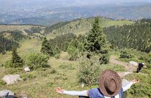 Mountain pasture Kok Zhailau The most popular trekking in Almaty