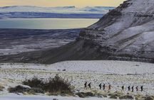 El Calafate Expedition: 4WD Adventure with Optional Hike-Zipline