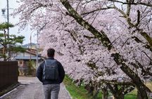 Timeless Takayama: A Walk Through History and Beauty