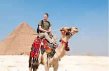 Private Tour to the Pyramids and the Great Egyptian Museum (GEM)