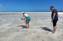 3 Hours Guided Great Exuma ATV Tour