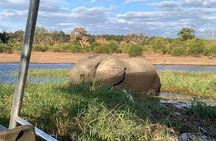 Full Day Tour to Chobe National Park and Botswana