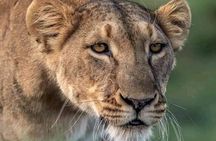 Full Day Tour to Chobe National Park and Botswana