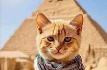 Cairo Day Tour: Giza Pyramids, Sakkara, Memphis, Lunch, Camel