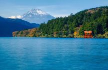 Tokyo Hakone : Mt.Fuji, Owakudani, Open Air Museum, Hakone Shrine