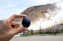 Tokyo Hakone : Mt.Fuji, Owakudani, Open Air Museum, Hakone Shrine