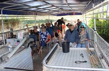 Darwin City Tour + Jumping Crocodile Cruise