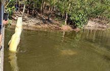 Darwin City Tour + Jumping Crocodile Cruise