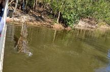 Darwin City Tour + Jumping Crocodile Cruise