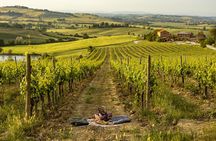 Picnic in vineyards with Bottle of Brunello di Montalcino