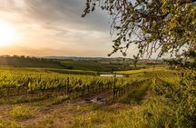 Picnic in vineyards with Bottle of Brunello di Montalcino