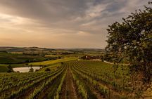 Picnic in vineyards with Bottle of Brunello di Montalcino