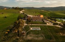 Picnic in vineyards with Bottle of Brunello di Montalcino