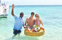 Pigs Beach, Green Turtle Cay, Rose Island Private Tour