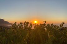 Table Mountain Full Day Trip, Zipline Adventure and Wine Tasting