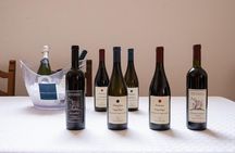 Wine Tasting in Campi Flegrei from Naples