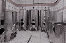 Champagne Munoz Bruneau : Half Day Visit and Tasting