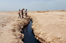 Ras Mohammed Explorer: Half-Day Nature Escape Sharm El Sheikh