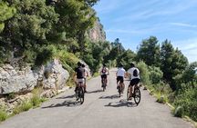 Split City and Marjan Park Electric Bike Tour