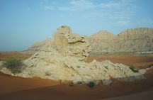Dune Buggy Experience & Fossil Discovery in Mleiha National Park