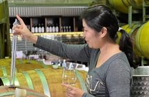 Private Hunter Valley Luxury Tour From Sydney