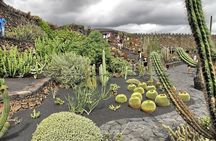 Las Palmas Tour: Vegueta, Botanical Garden & Bandama Crater