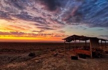 Aral Sea Adventures (2 day)