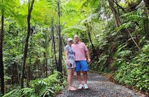 Private Old San Juan & El Yunques's Angelito Trail Tour 5HR 