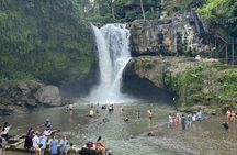  Barong Dance and Waterfall tour in Bali