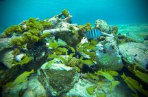 Cozumel: Shore Snorkel Hop + Island Tour