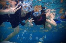 Cozumel: Shore Snorkel Hop + Island Tour