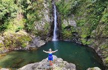 Rainforest Wonders Private Full Day Experience from San Juan