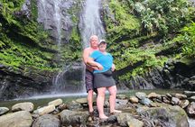 Rainforest Wonders Private Full Day Experience from San Juan