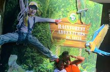 St Lucia Private Zipline and Shopping Adventure
