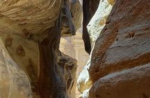 Two Day Tour from Amman to Petra & Wadi Rum
