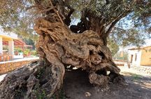 Wine, Dine & Divine: A Cretan Odyssey in Chania.