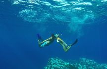 5-Hour Lanai Snorkel & Dolphin Adventure