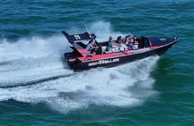 Noosa Thriller Ocean & Dolphin Adventure 