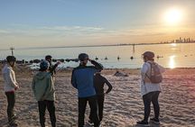 Toronto Islands Evening Bike Tour